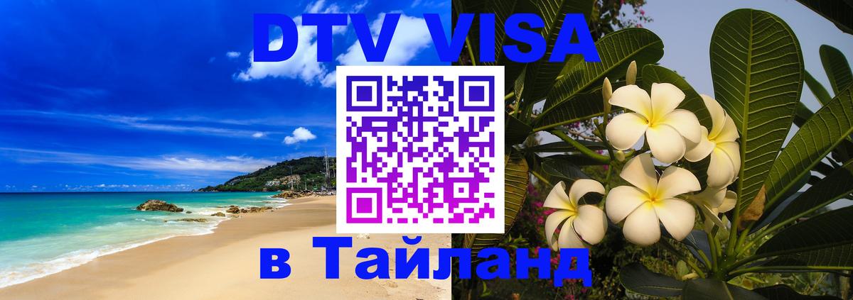 Оформление DTV визы под ключ: стоимость и тарифы, только загранпаспорт - 